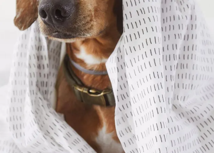 Mistral Affiliated By Melia 酒店 3*